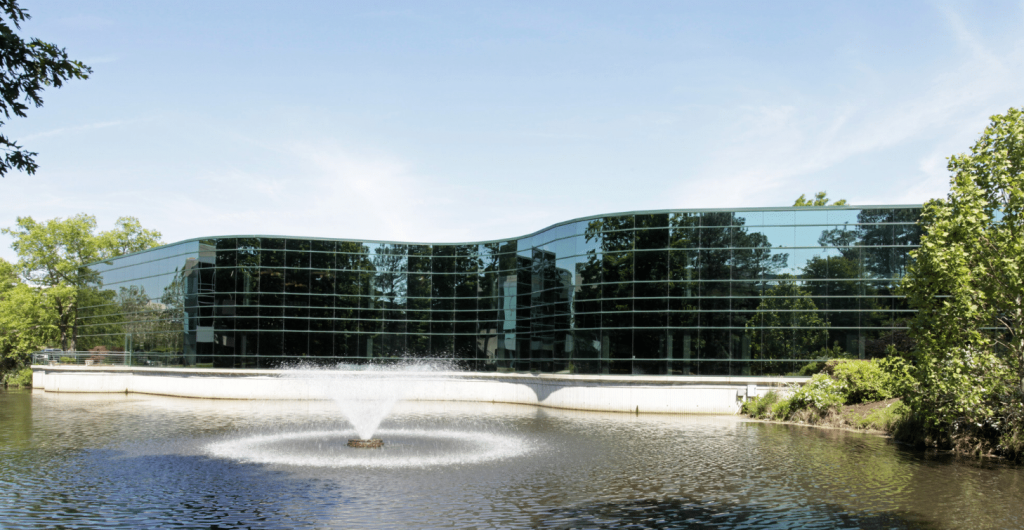 The Microsoft Building